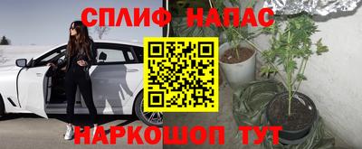 гашик Нальчик