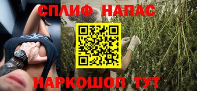 гашик Нальчик