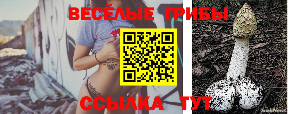 Туапсе  Псилоцибиновые грибы Psilocybe  наркотики  Галлюциногенные грибы прущие грибы  Вход с VPN 