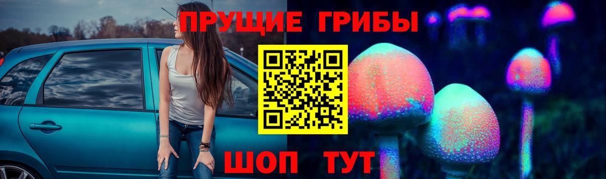 Галлюциногенные грибы Psilocybe Туапсе